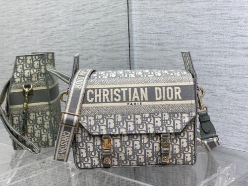 Dior Diorcamp 手袋，仿品内幕，价格怎么样